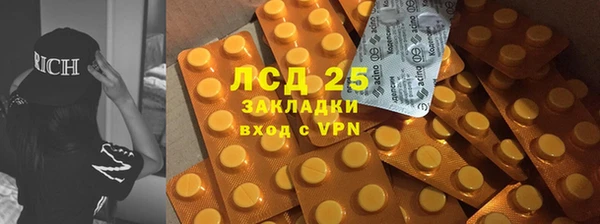 ГАЛЛЮЦИНОГЕННЫЕ ГРИБЫ Беломорск