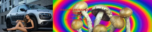 ГАЛЛЮЦИНОГЕННЫЕ ГРИБЫ Беломорск
