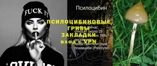 mix Белокуриха