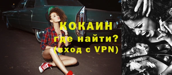 бошки Няндома
