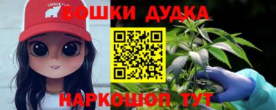 a pvp Гатчина