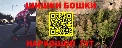 a pvp Гатчина