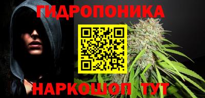 a pvp Гатчина