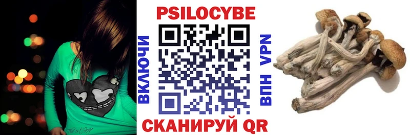 купить наркоту  Красноармейск  Псилоцибиновые грибы мицелий 