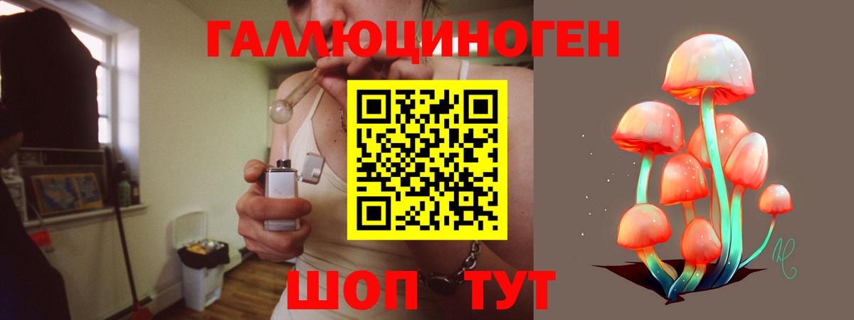 Красноармейск  Галлюциногенные грибы Magic Shrooms  Вход с VPN 